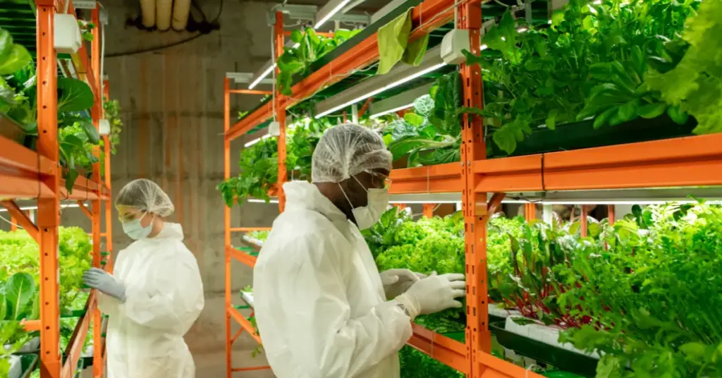 Local Problems, Global Potential