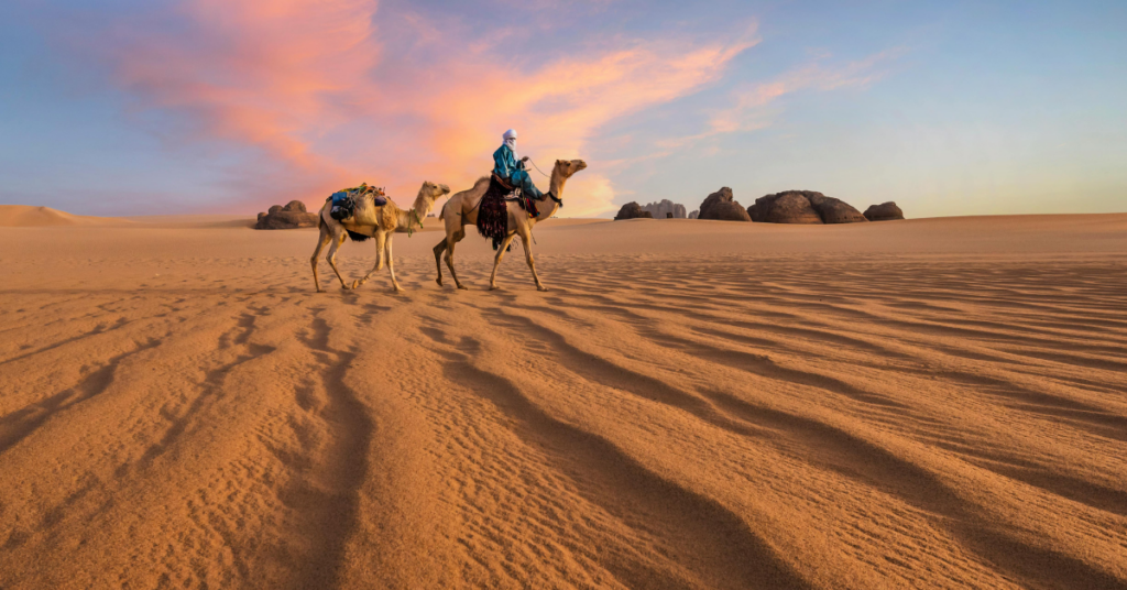 Investing in Growth That Lasts