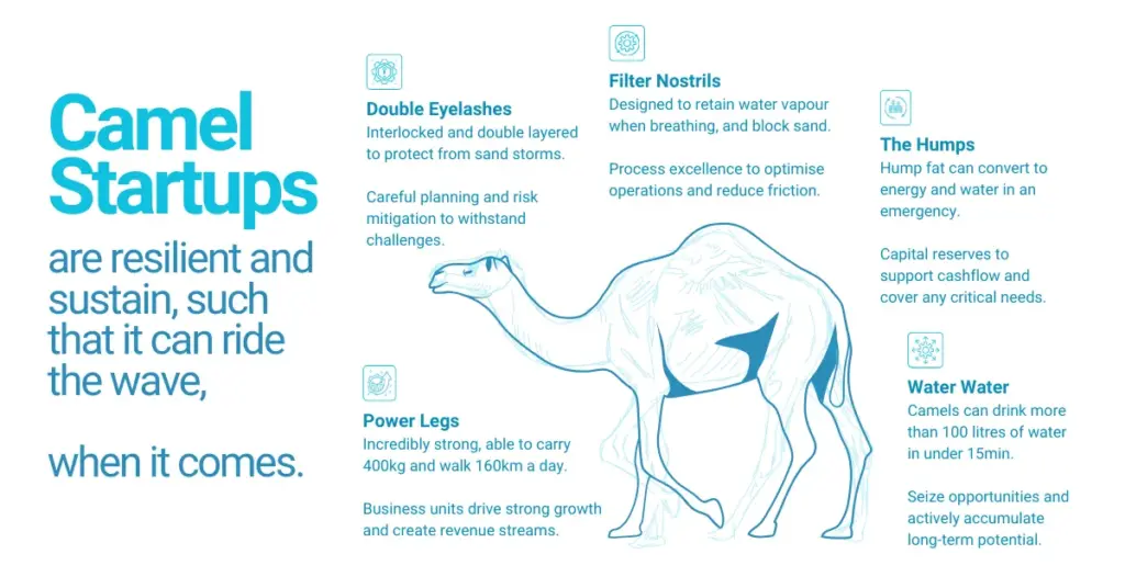 Camel Startup Blueprint