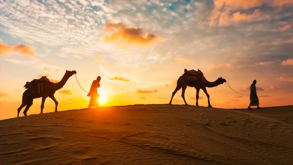 Beyond the Unicorn: How to Build a Resilient Camel Startup in the Desert Economy 